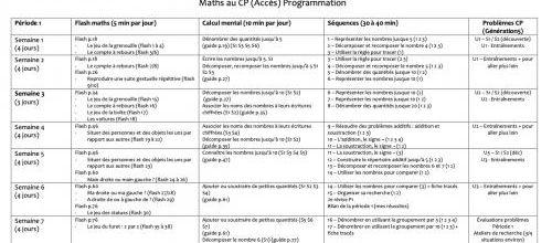 Prog détaillée maths au CP (année scolaire : 2023/2024)