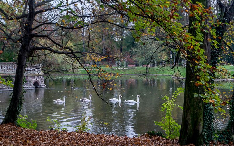 Automne strasbourgeois - 1 -