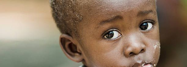 L’Afrique noire pour les nuls