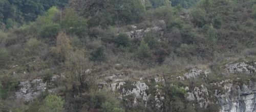 Le tombeau de Pierre Boisson
