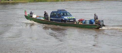 Un petit diorama guyanais ?
