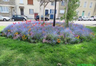 Alençon dans l'Orne