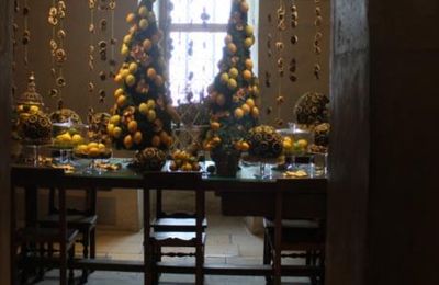 Noël jaune à Chenonceau (11)