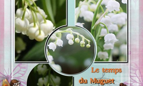 Le Temps du Muguet