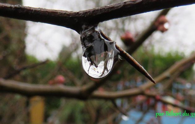 Reflets dans 1 goutte