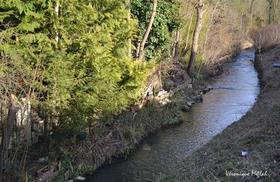 Parc naturel régional de la Vallée de Chevreuse : L'Yvette