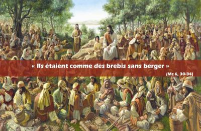 Homélie du 16ème dimanche du temps ordinaire - 18 juillet 2021