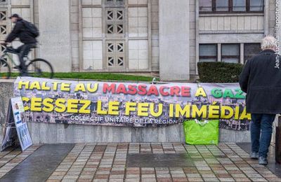 Rassemblement pour un cessez-le-feu à Gaza 23 février 2024