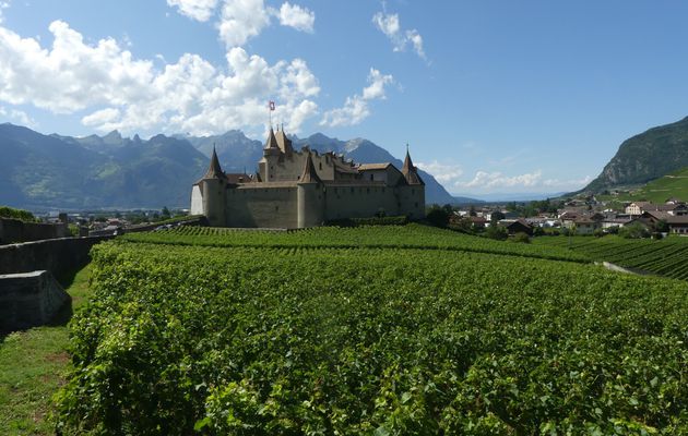 LE  CHATEAU D'AIGLE  -  Suisse