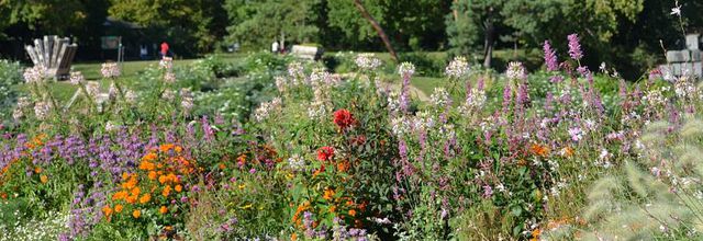 Parc Floral de Paris : Hommes et plantes, 50 ans de passion
