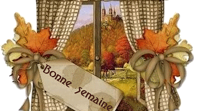 Strasbourg et ses ponts !