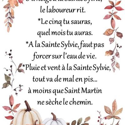 Dictons * Fête Sylvie * grille prénom !