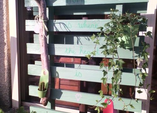 *Un jardin d'intérieur pour la classe