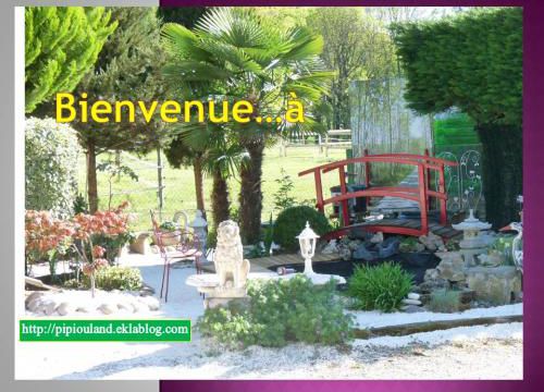 Entretien de mon Niwaki...3 ans après