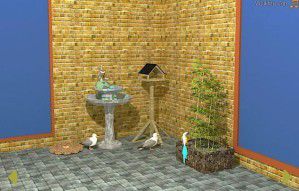 Birds invation soluce