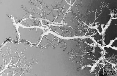 Hiver, variations
