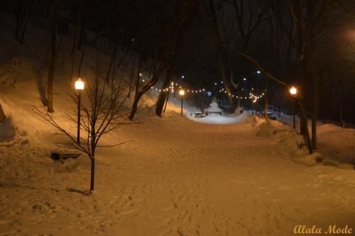 Carnaval de Québec
