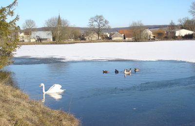 Le lac gelé de Poiseul la Grange...