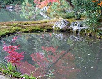 Haîku d'automne