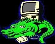 Pourquoi Croc ?