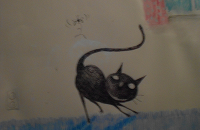 Le chat aux yeux bleuet