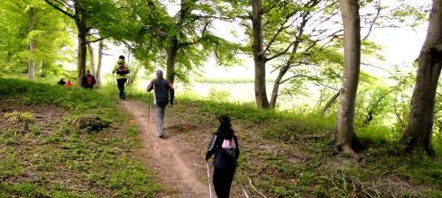 Reprise de la saison 2014-2015 et formalités d'inscription