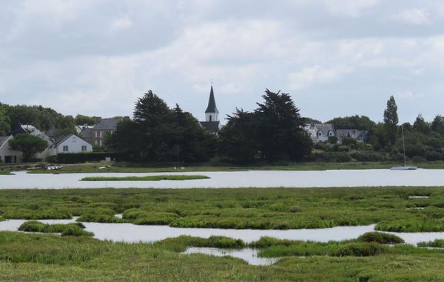 Randonnée à Saint Armel (56)-2