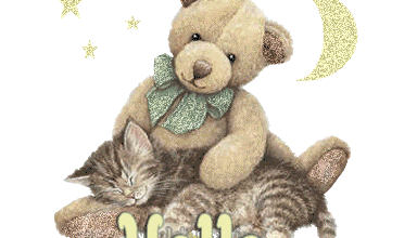 Mon p'tit n'ours !
