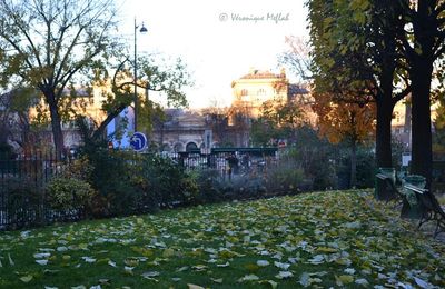  L'île de la Cité : Square René-Viviani - Montebello