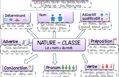 carte mentale nature des mots