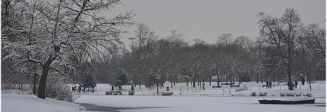 La neige de retour ce vendredi 9 février dans le nord de la France !