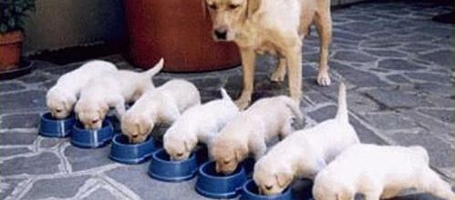 TOUTES ... SAUF UNE !!!!