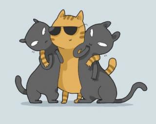 La personnalité des chats (2)