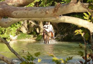 EXCURSIONS ACHERONTAS AU VERT