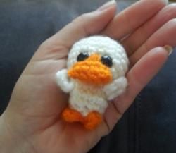 Petit mini canard