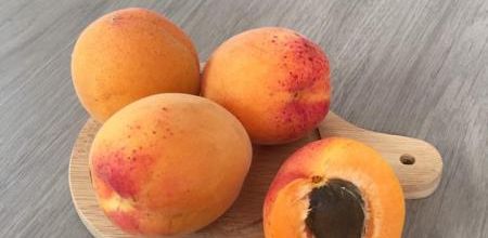 Août 2020 : Les fruits & Légumes de saison 