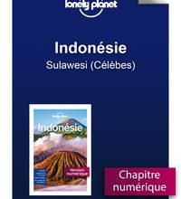 [PDF/Kindle] Indonésie - Sulawesi (Célèbes) by Lonely Planet