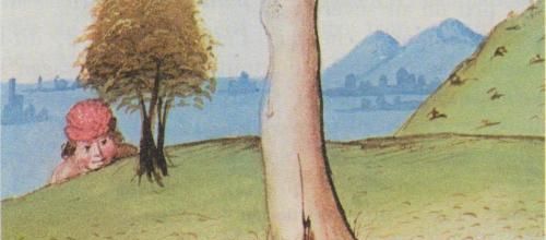 Jacques et le haricot géant (conte anglais)
