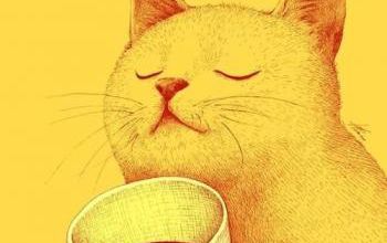 Le bon café découvert par des chèvres.