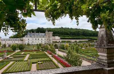 VISITE CHATEAUX DE LA LOIRE