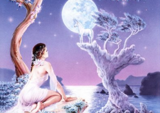 Tendre nuit à tous