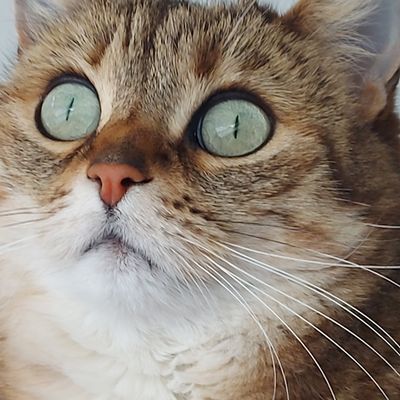 Quya à 6 ans