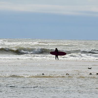Soirée spectacle du 29 avril 2025