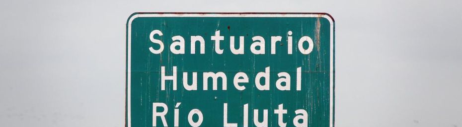 Arica ~ Rencontres au Río Lluta