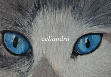 Un en cours.... Chat 