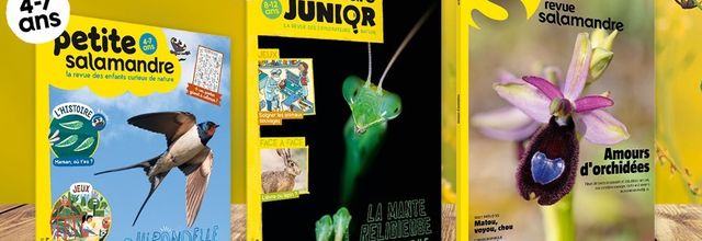 Lectures-nature de printemps : les "Salamandre"