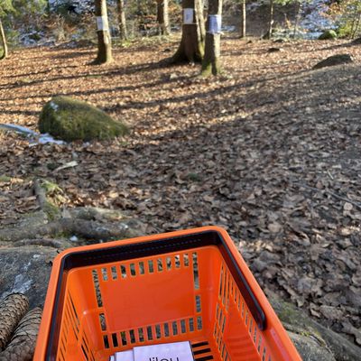 Ecole en forêt janvier 2025