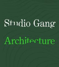 Books to download on iphone free Studio Gang: Architecture MOBI by Jeanne Gang
