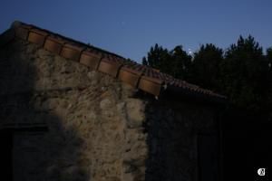 Au plus près...