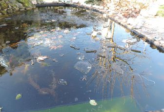 mon bassin de jardin sous la glace